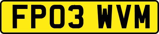 FP03WVM