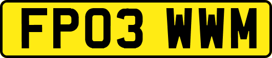 FP03WWM