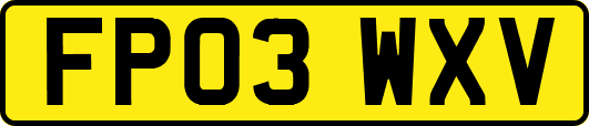 FP03WXV