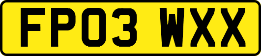 FP03WXX