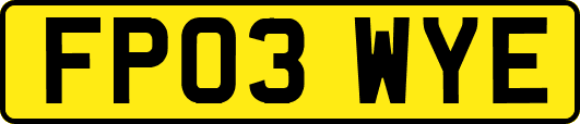 FP03WYE