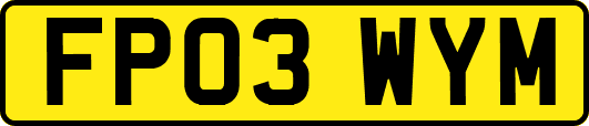 FP03WYM