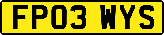 FP03WYS