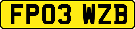 FP03WZB