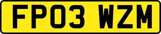 FP03WZM