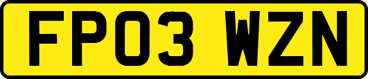 FP03WZN