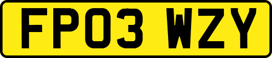 FP03WZY