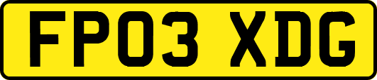 FP03XDG