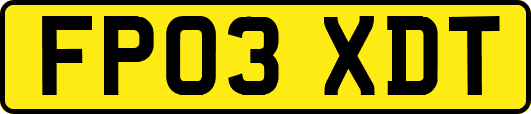 FP03XDT