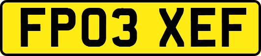FP03XEF