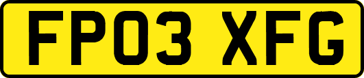 FP03XFG