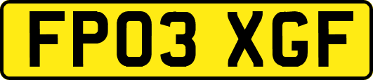 FP03XGF