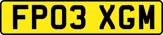 FP03XGM
