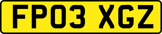 FP03XGZ