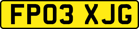 FP03XJG