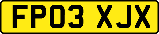 FP03XJX