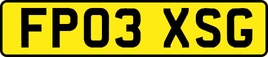 FP03XSG