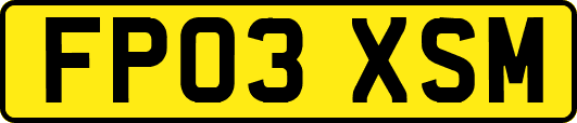 FP03XSM