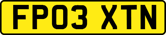 FP03XTN