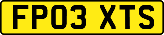 FP03XTS
