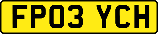 FP03YCH