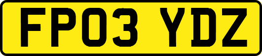FP03YDZ