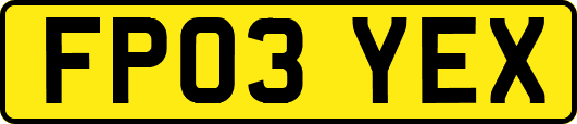 FP03YEX
