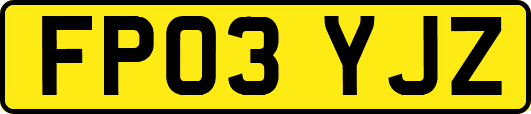 FP03YJZ