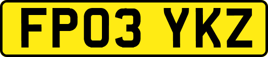 FP03YKZ