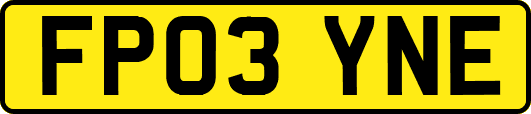 FP03YNE