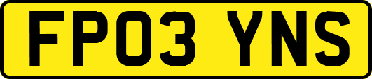 FP03YNS
