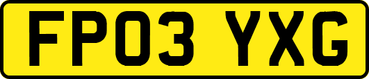FP03YXG