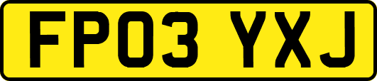 FP03YXJ