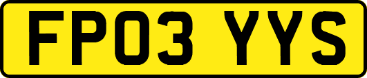 FP03YYS