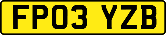 FP03YZB
