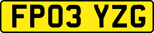 FP03YZG