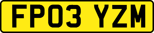 FP03YZM