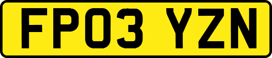 FP03YZN
