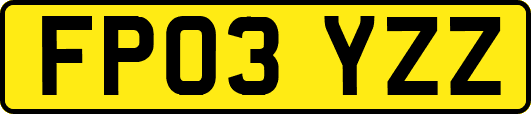 FP03YZZ