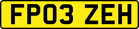 FP03ZEH