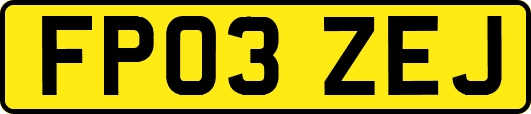 FP03ZEJ