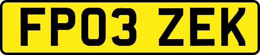 FP03ZEK