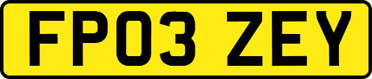 FP03ZEY