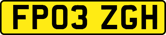 FP03ZGH