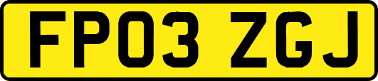 FP03ZGJ