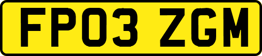 FP03ZGM