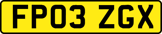 FP03ZGX
