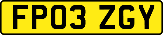 FP03ZGY