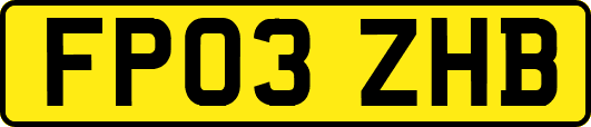 FP03ZHB