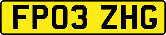 FP03ZHG